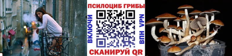 Псилоцибиновые грибы ЛСД mega сайт Керчь закладки